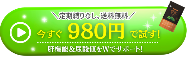 肝匠プロネス_CTA