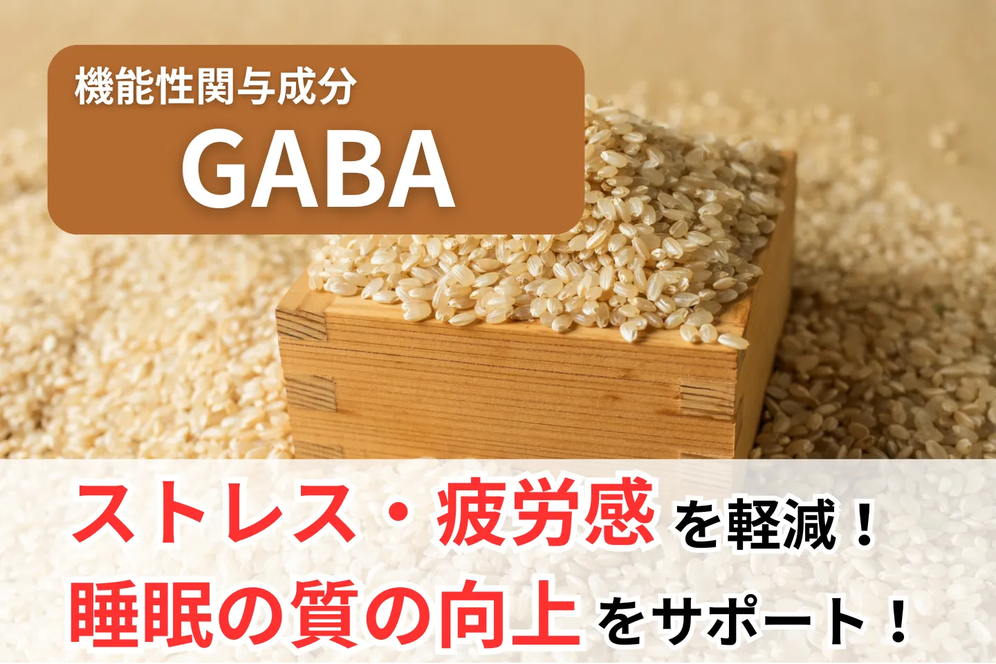 機能性関与成分GABA