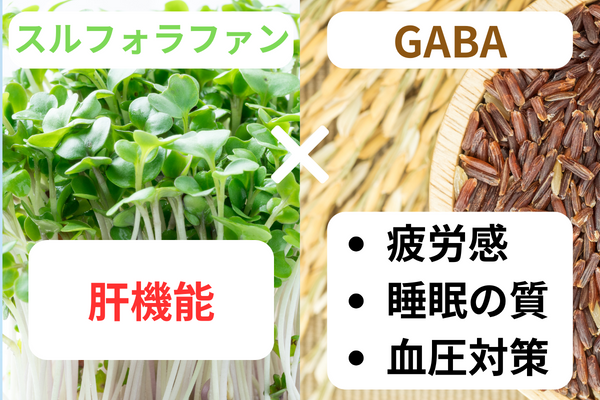 選び方2
