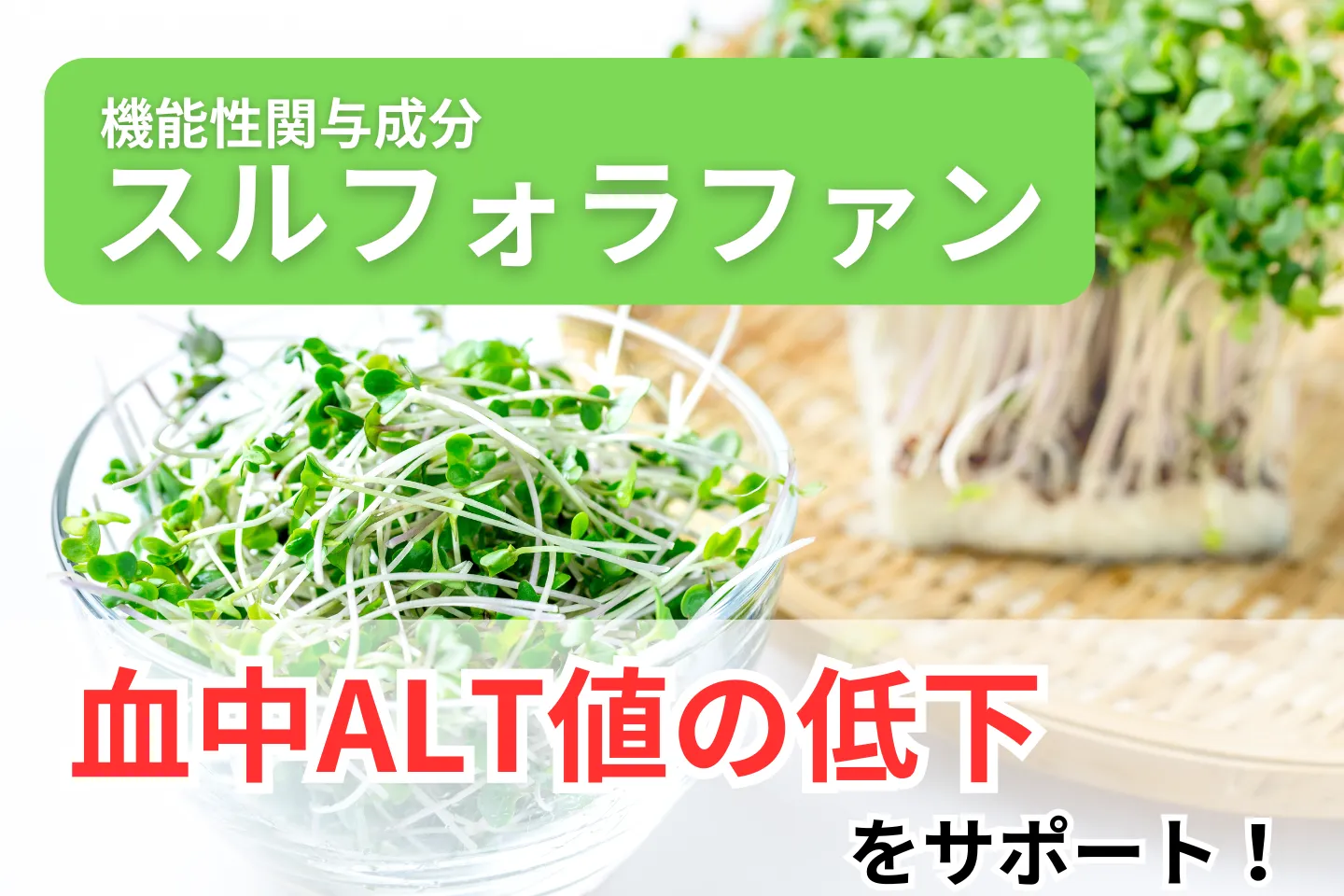 機能性関与成分スルフォラファン
