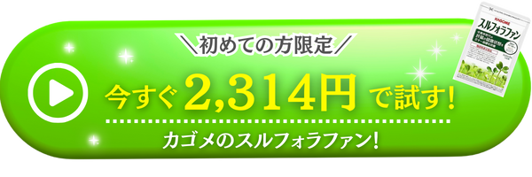 カゴメ_CTA