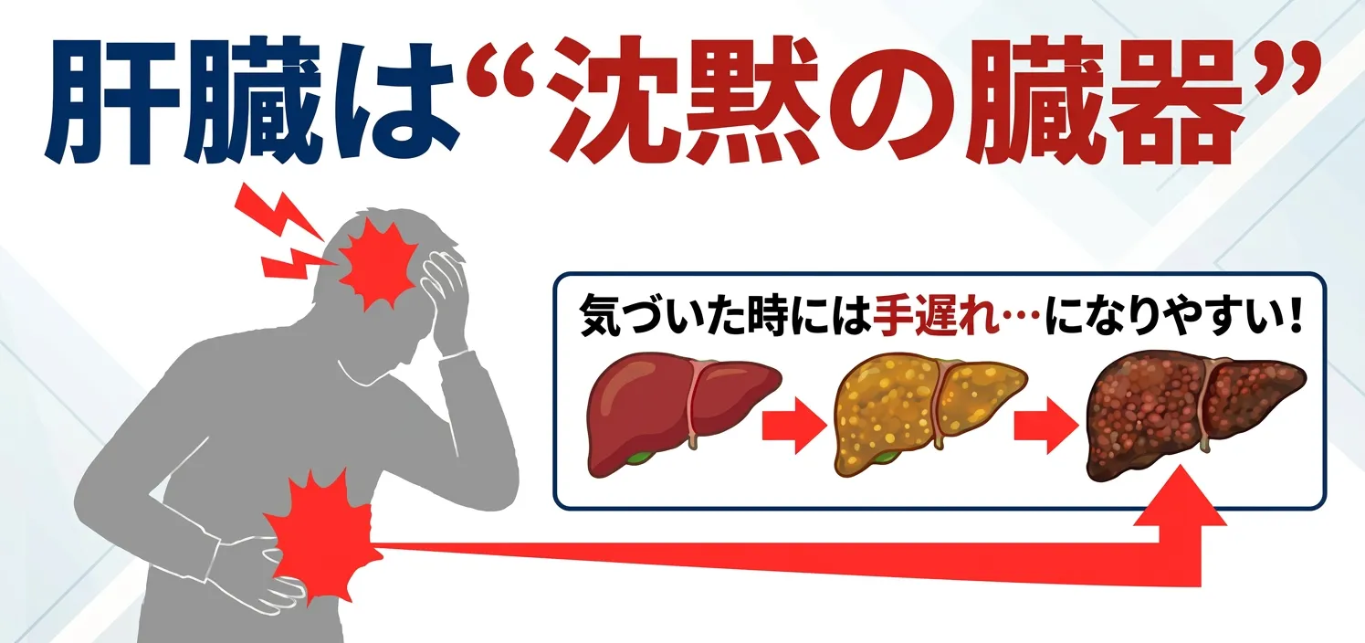 肝臓は沈黙の臓器